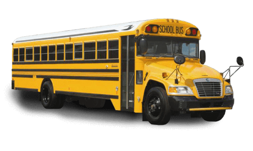 School Bus Rental